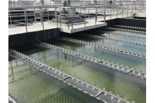 【干貨】有機物導(dǎo)致的氨氮超標(biāo)?這種情況該如何處理呢？